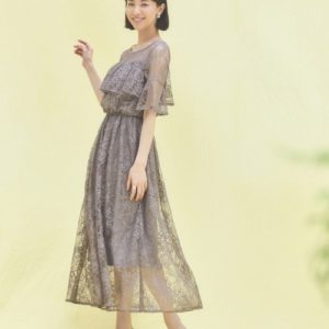 10011DRESS PLUS(ドレスプラス)ブラウン2L